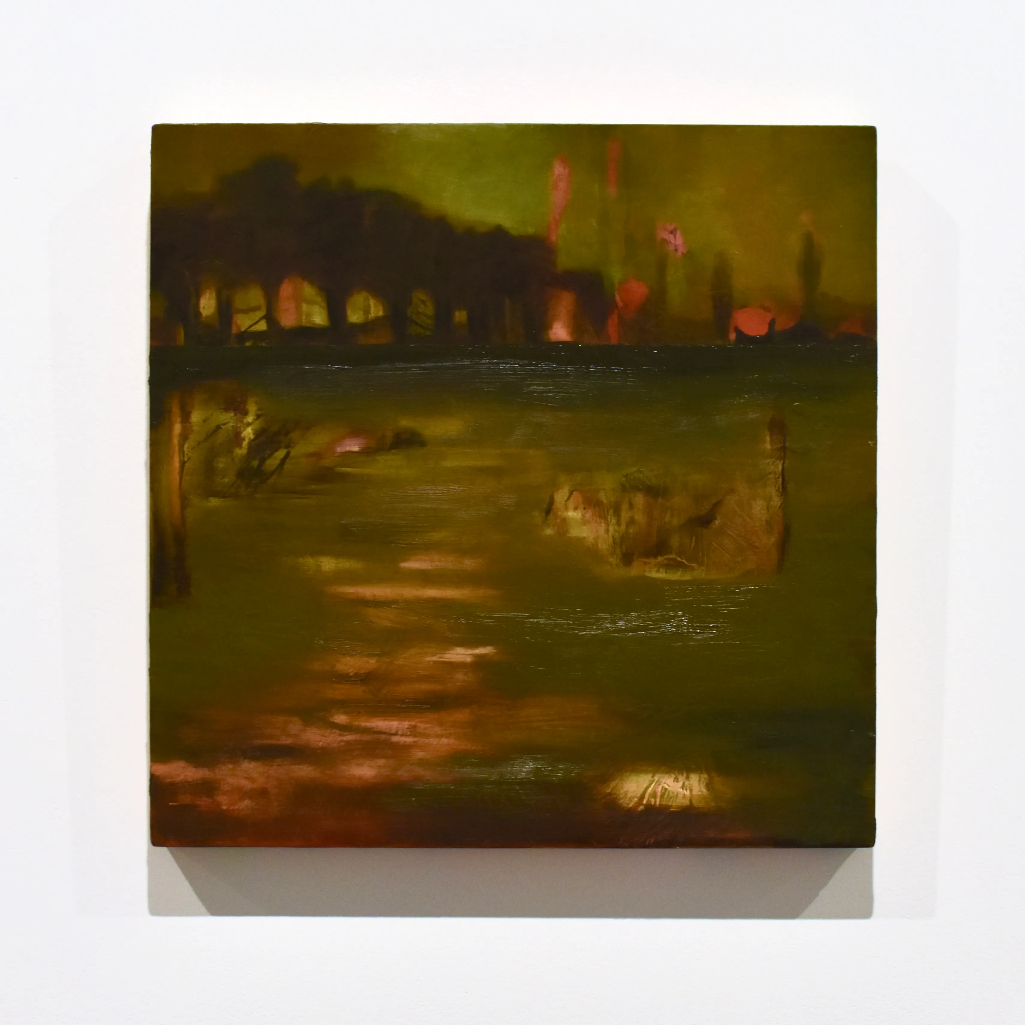 Underneath a Lily Pad